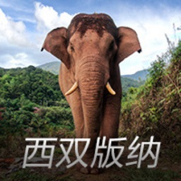 好未来2025财年营收创新高，但运营亏损扩大